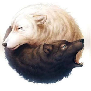 Meet your Posher, Huangjie